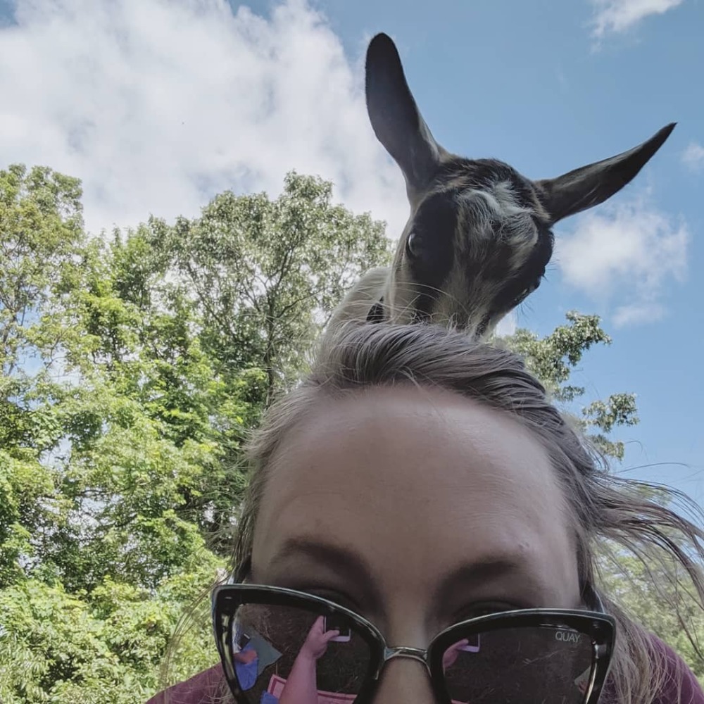 Meet your Posher, Sara